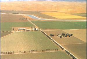 美國西岸中部山谷的灌溉田地