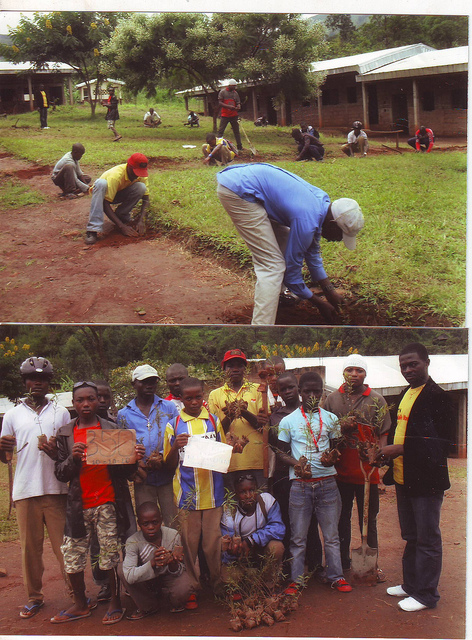 Nkambe, Congo - 1000 Youths 1000 Trees