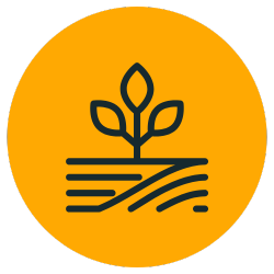 regenerative-agriculture-icon