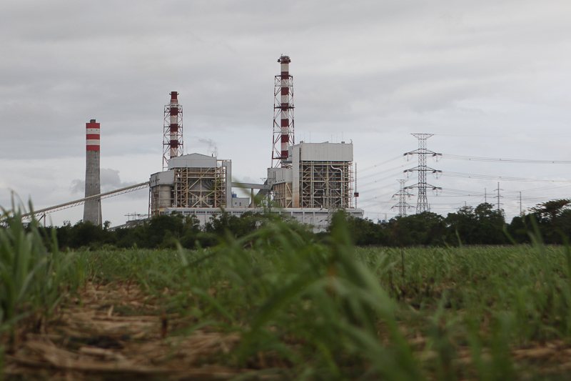 The Calaca coal power station looms over a wide sugarcane field planted along the route to Barangay Quisumbing, Calaca, Batangas. © AC Dimatatac