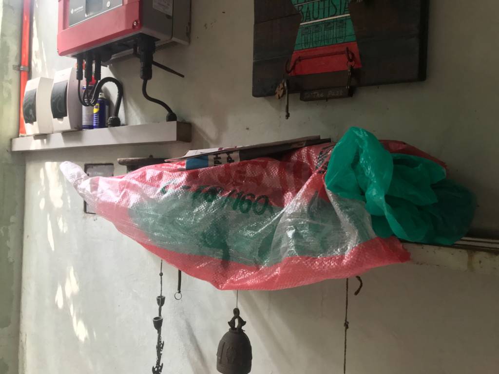 Exxon the Cat 350 Pilipinas