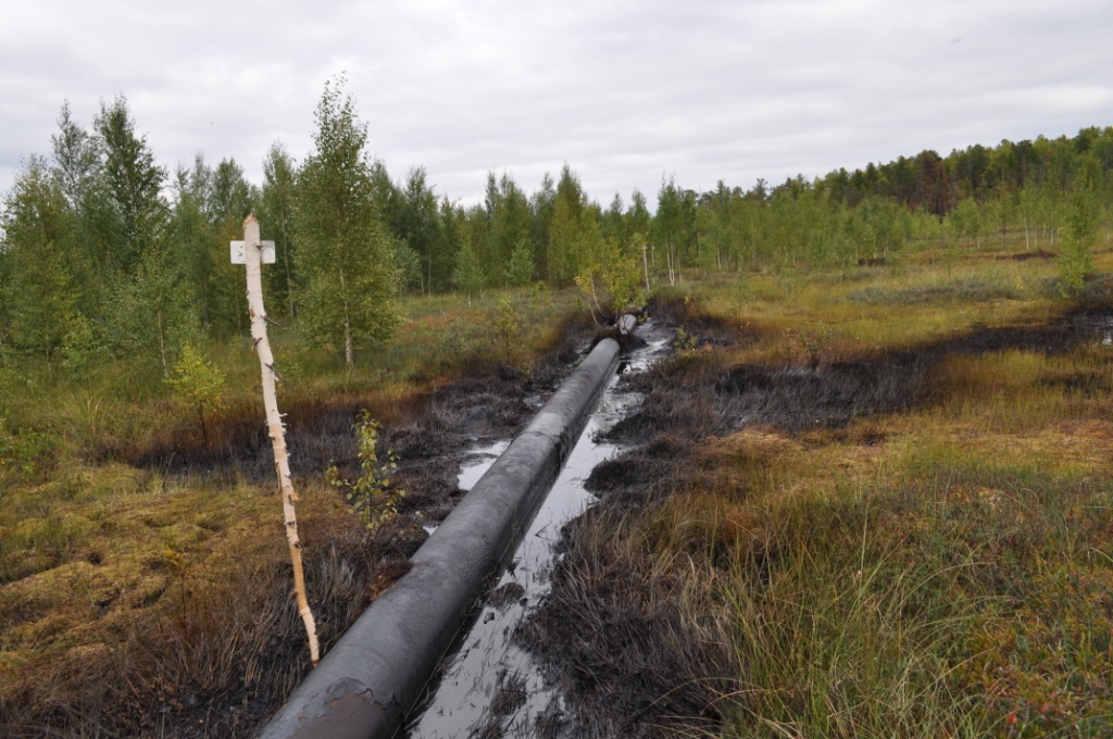 Прохудившиеся нефтепроводы около р.Аган - постоянный источник загрязнения. Фото - РОО "Экологическая безопасность Югры"