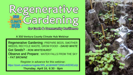 Regenerative Gardening Webinar flyer